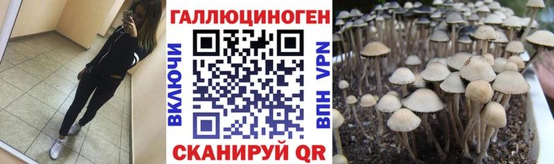 MEGA ссылки  дарнет шоп  Сортавала  Псилоцибиновые грибы Cubensis 