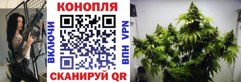 kraken ТОР  Сортавала  Бошки Шишки ГИДРОПОН 